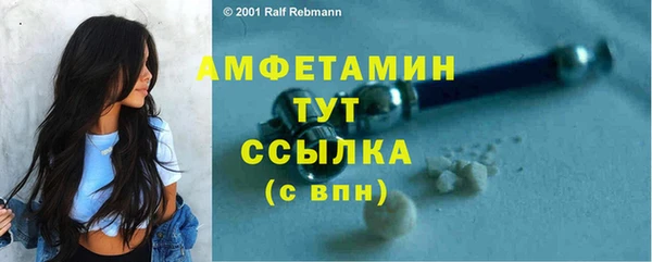 молекула духа Аркадак