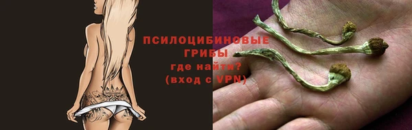 2c-b Арсеньев