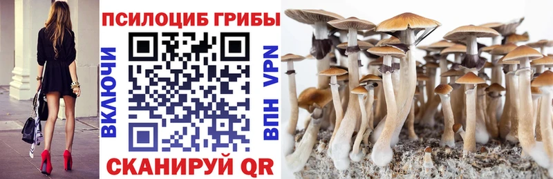 Псилоцибиновые грибы Magic Shrooms  Талица 